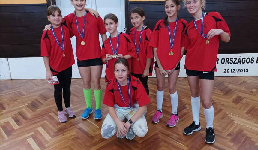 Dombóvár és Térsége Floorball bajnokság