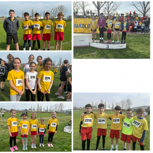 Mezei futóverseny megyei forduló Mezei futóverseny megyei forduló