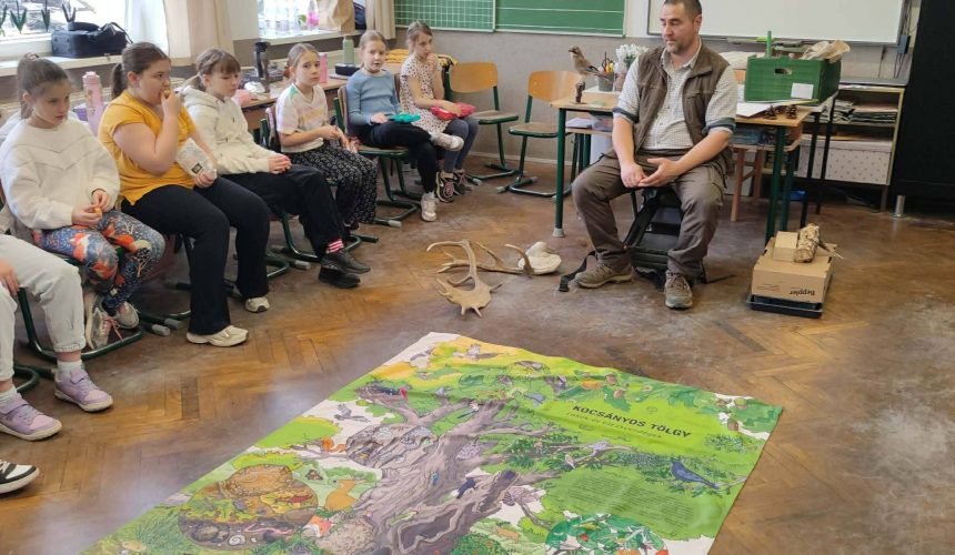 Iskolában az erdő Iskolában az erdő